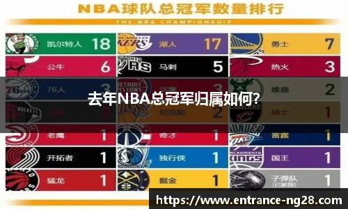 去年NBA总冠军归属如何？